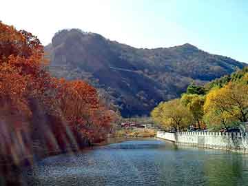 新澳天天开奖资料大全旅游团，飞腾论坛